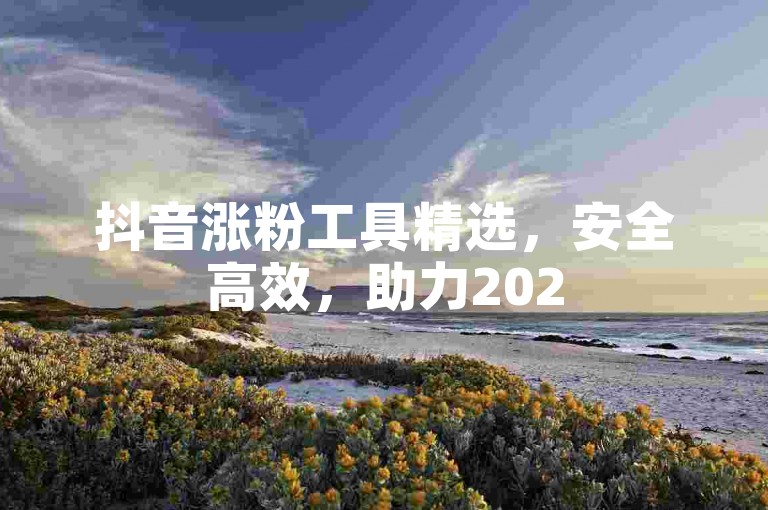 抖音涨粉工具精选，安全高效，助力2025粉丝增长新策略！