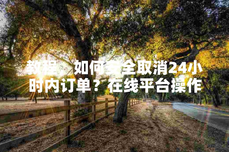 教程，如何安全取消24小时内订单？在线平台操作指南。