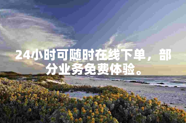 24小时可随时在线下单，部分业务免费体验。