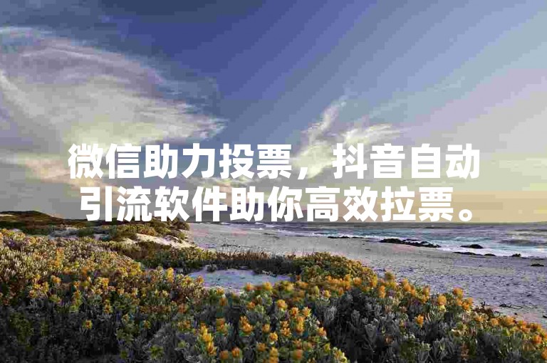 微信助力投票，抖音自动引流软件助你高效拉票。
