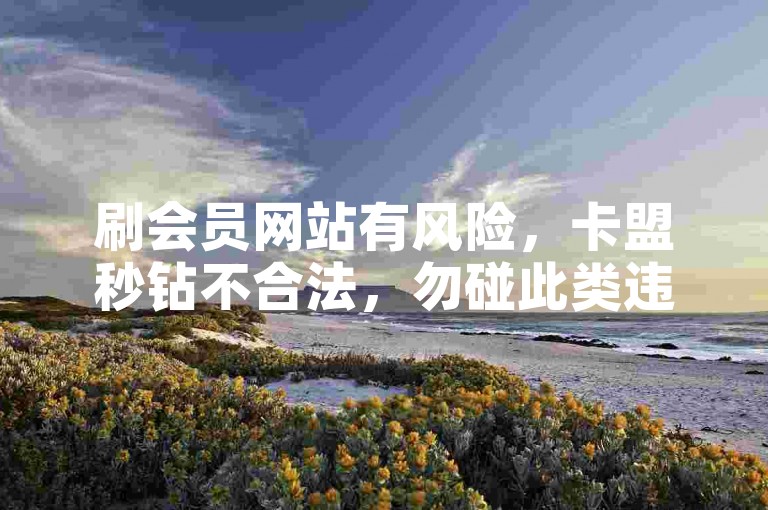 刷会员网站有风险，卡盟秒钻不合法，勿碰此类违规操作。