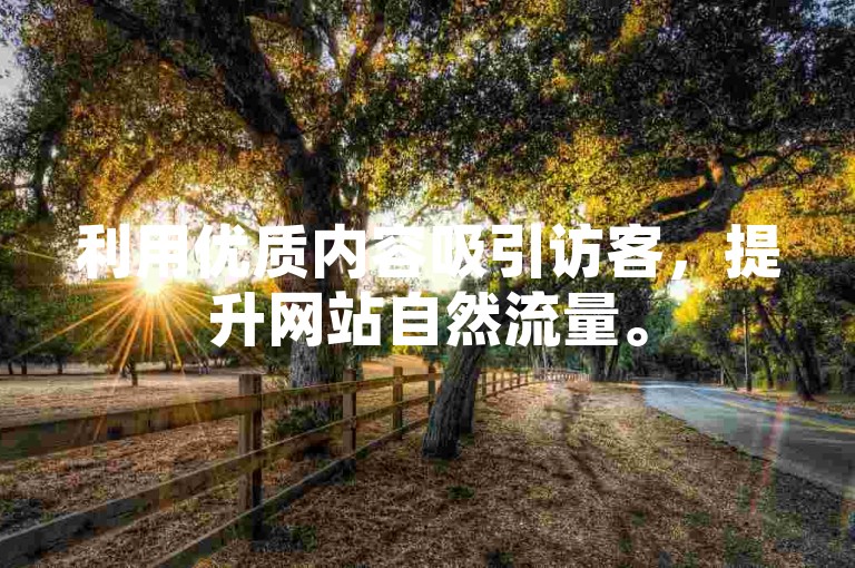利用优质内容吸引访客，提升网站自然流量。