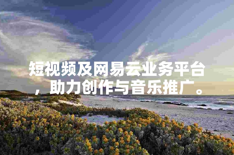 短视频及网易云业务平台，助力创作与音乐推广。