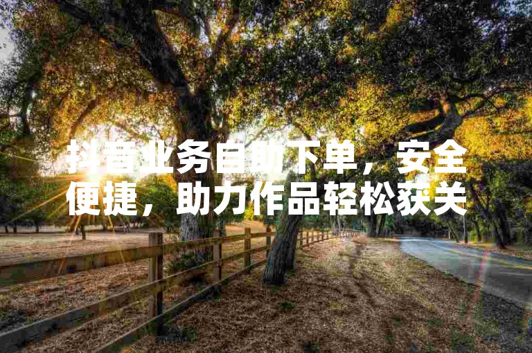 抖音业务自助下单，安全便捷，助力作品轻松获关注！
