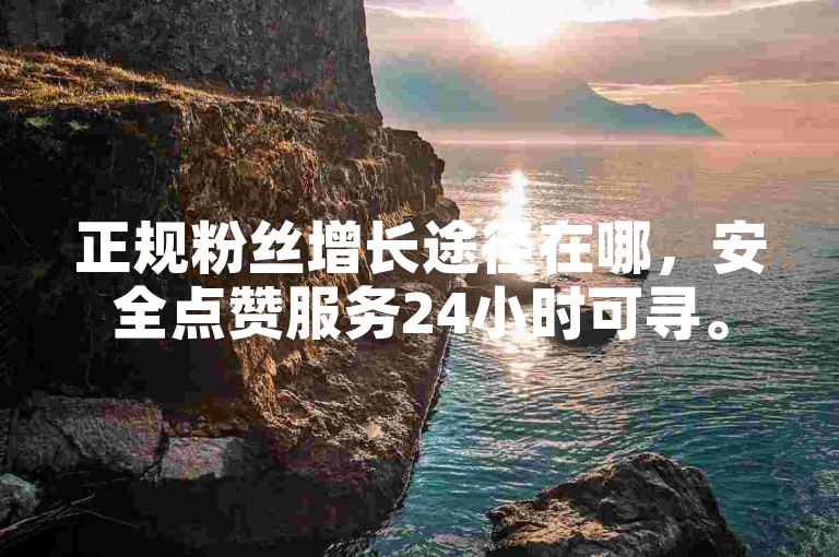 正规粉丝增长途径在哪，安全点赞服务24小时可寻。