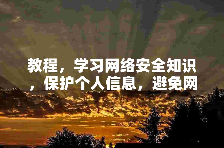 教程，学习网络安全知识，保护个人信息，避免网络风险。