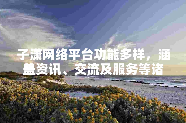子潇网络平台功能多样，涵盖资讯、交流及服务等诸多板块。