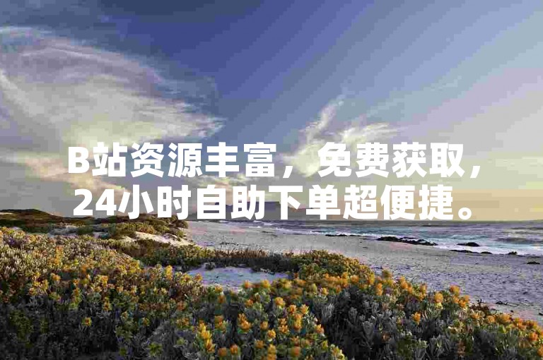 B站资源丰富，免费获取，24小时自助下单超便捷。