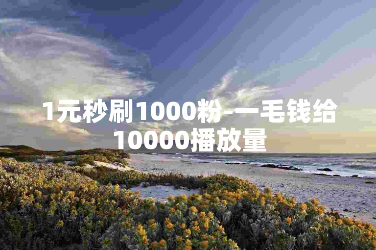 1元秒刷1000粉-一毛钱给10000播放量