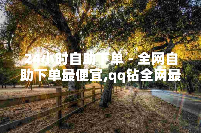 24小时自助下单 - 全网自助下单最便宜,qq钻全网最低价下单业务平台 - 超低价ks业务自助下单平台