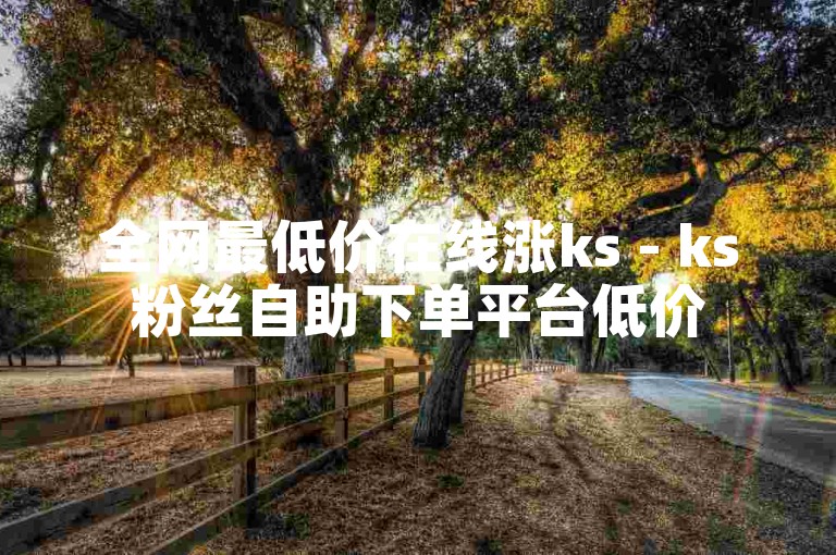全网最低价在线涨ks - ks粉丝自助下单平台低价