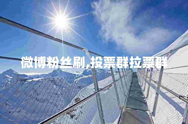 微博粉丝刷,投票群拉票群