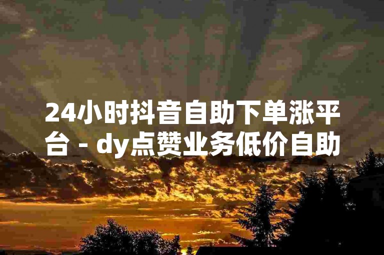 24小时抖音自助下单涨平台 - dy点赞业务低价自助平台