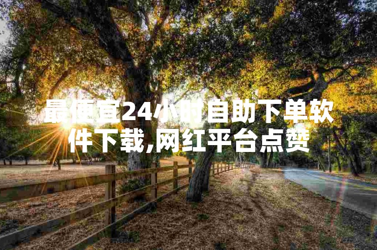 最便宜24小时自助下单软件下载,网红平台点赞
