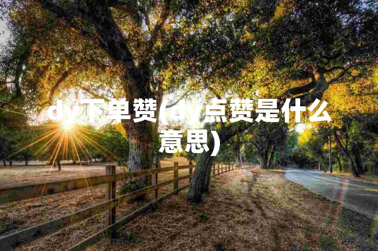 dy下单赞(dy点赞是什么意思)