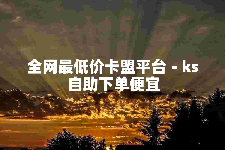 全网最低价卡盟平台 - ks自助下单便宜