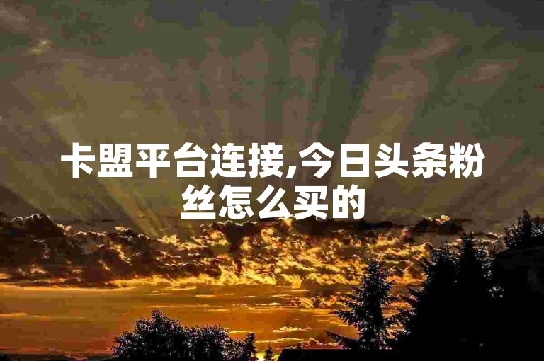 卡盟平台连接,今日头条粉丝怎么买的