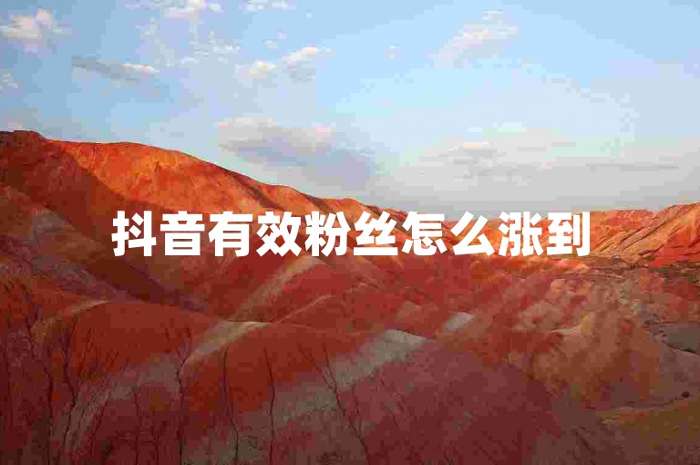 抖音有效粉丝怎么涨到500(如何增加抖音有效粉丝至500)
