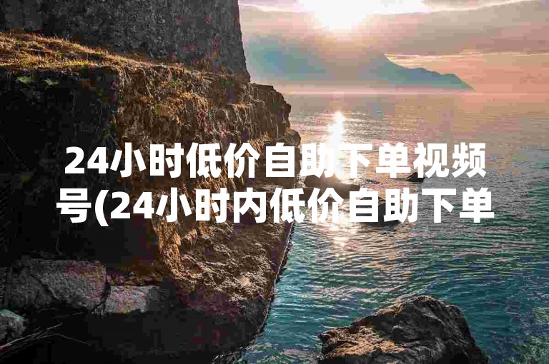 24小时低价自助下单视频号(24小时内低价自助下单视频号)